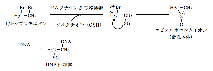 解説画像